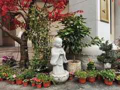 -星云文教馆