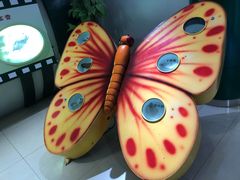 -上海昆虫博物馆