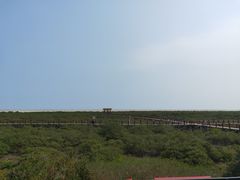 -北海金海湾红树林生态旅游区