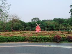 -东莞植物园