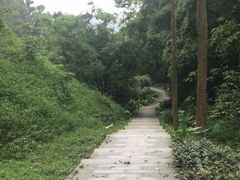 -火炉山森林公园