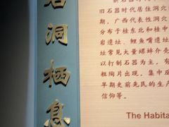 -广西壮族自治区博物馆