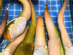 -连鹭海鲜·海肠捞饭·海胆饭(星海店)