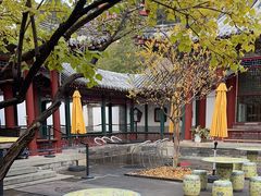 -宫事颐庭·老佛爷贵寿下午茶(颐和园店)