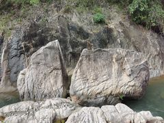 -广州白江湖森林公园