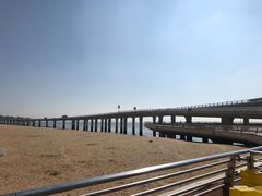 -演武大桥观景平台