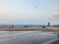 -日照海滨国家森林公园