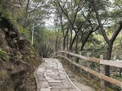-大岭沟猕猴桃谷风景区