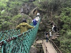 -大奇山国家森林公园