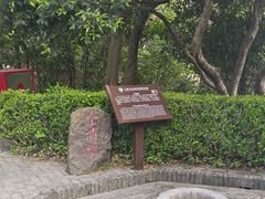 -上海佘山国家森林公园天马山园