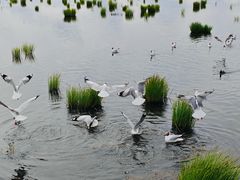 -花湖生态旅游区