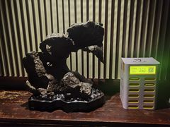 -苏帮袁·竹(北京坊店)