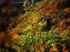 -大岭沟猕猴桃谷风景区
