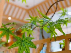 -京御煌三汁焖锅(益田假日里店)