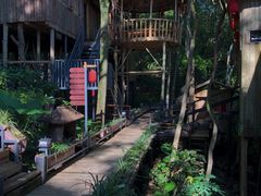 -天门沟九州驿站树上汤泉