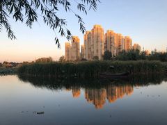 -前关湿地公园