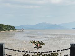 -深圳湾公园(南山区)