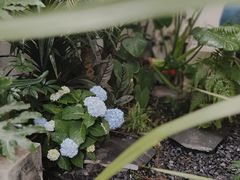 -漫笙舍Manse·咖啡·民宿