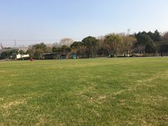 -昆山城市生态森林公园