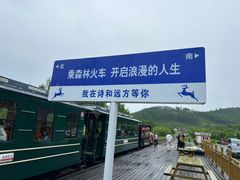 -莫尔道嘎国家森林公园