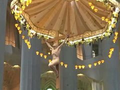-巴塞罗那主教座堂