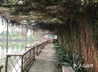 在高架桥下的农庄,抬头往上遥望大桥,非常庞大