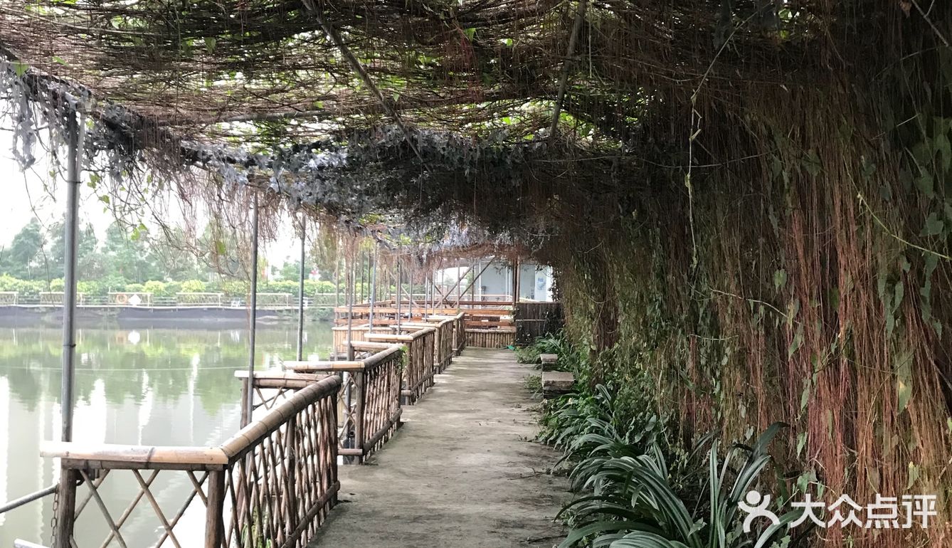 在高架桥下的农庄，抬头往上遥望大桥，非常庞大