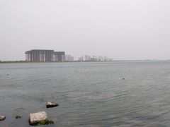 -碧海金沙