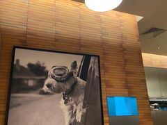 -Wagas沃歌斯(信泰中心商场店)