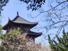 -堤角公园