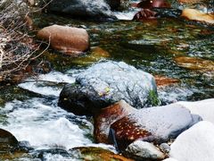 -小五台金河景区