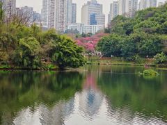 -重庆彩云湖湿地公园