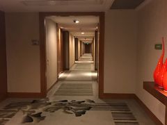 -上海浦东康桥绿地假日酒店