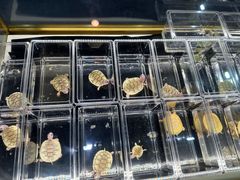 -上海跨国采购会展中心