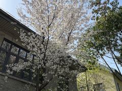 -颐和路民国时期公馆风貌区