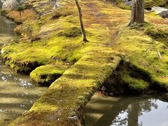 -西芳寺(苔寺)