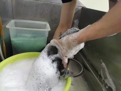 -爱侣宠医·鹦鹉专科·小型哺乳类·异宠专科(灵石路店)