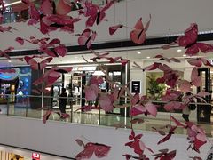 -万达广场(松江店)