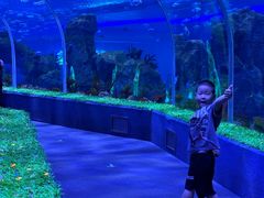-石家庄极地海洋世界