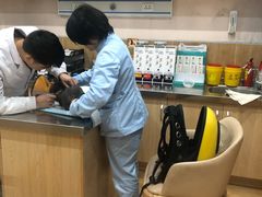 -瑞派名望24h动物医院异宠专科·猫专科·骨科·重症监护分院
