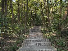-广州市帽峰山景区