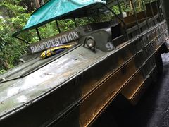 -热带雨林自然公园