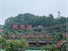 -枇杷园食为鲜火锅(南山店)