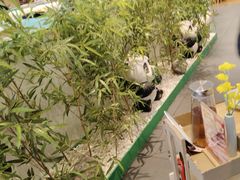 -麻辣空间·清油火锅(万达广场店)