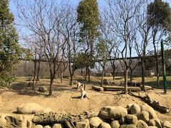 -常州淹城野生动物世界