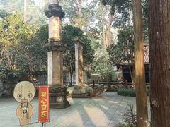 -都江堰普照寺