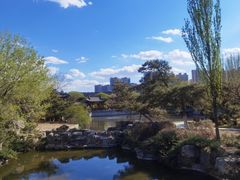 -善化寺