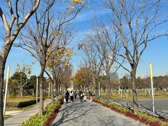 -上海山野camping·户外天幕烧烤·团建拓展营地