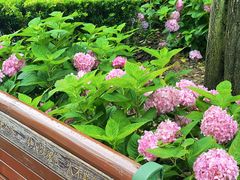 -常州古运河南大街文化旅游区-人民公园