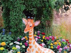 -上海共青森林公园